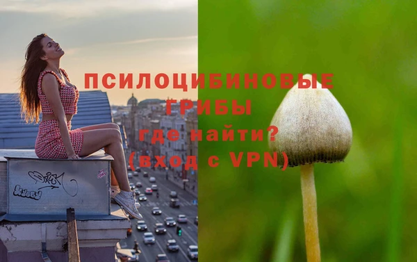 крисы Алексин