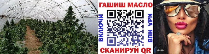 закладки сайты даркнета телеграм ТГК THC oil Грязи